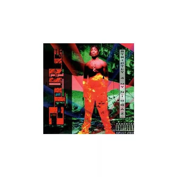2 PAC - Strictly 4 My Niggaz / vinyl bakelit / 2xLP