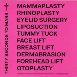 30 SECONDS TO MARS - America / vinyl bakelit / LP