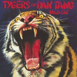 TYGERS OF PAN TANG - Wild Cat / vinyl bakelit / LP