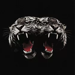 ROYAL BLOOD - Dead Company CD