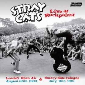 Stray Cats