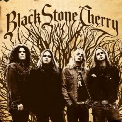 BLACK STONE CHERRY - Black Stone Cherry / vinyl bakelit / LP