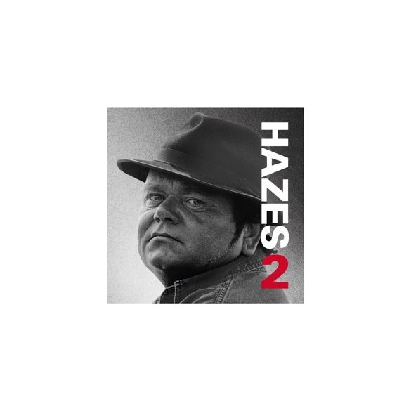 ANDRE HAZES - Hazes 2 / vinyl bakelit / 2xLP