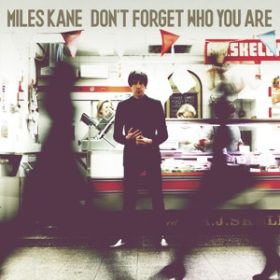 Miles Kane