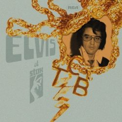 ELVI PRESLEY - Elvis At Stax / színes vinyl bakelit / 2xLP