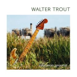 WALTER TROUT - Common Ground / színes vinyl bakelit / 2xLP