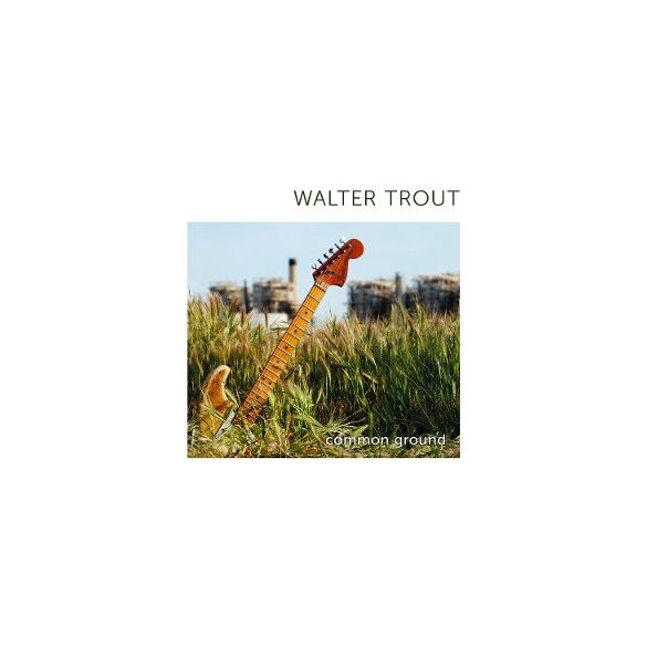 WALTER TROUT - Common Ground / színes vinyl bakelit / 2xLP