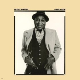 Muddy Waters