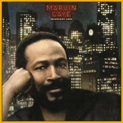 MARVIN GAYE - Midnight Love / vinyl bakelit / LP