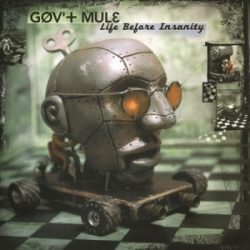   GOV'T MULE - Life Before Insanity   / vinyl bakelit /  2xLP