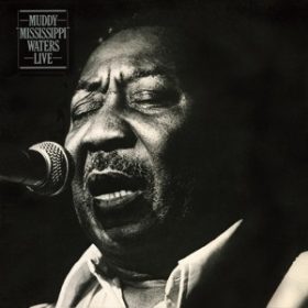 Muddy Waters