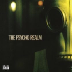 PSYCHO REALM - Psycho Realm / vinyl bakelit / 2xLP