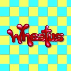 WHEATUS - Wheatus / vinyl bakelit / LP
