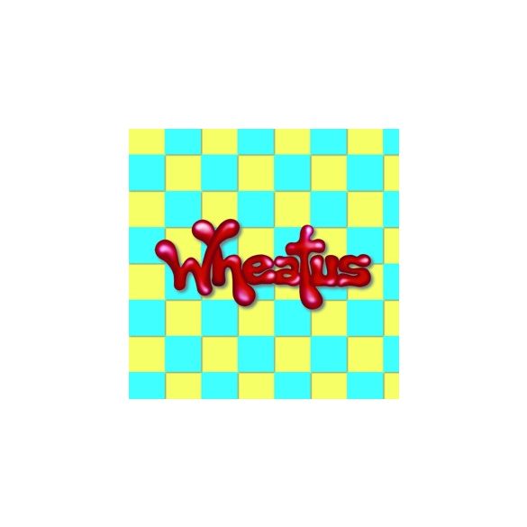 WHEATUS - Wheatus / vinyl bakelit / LP