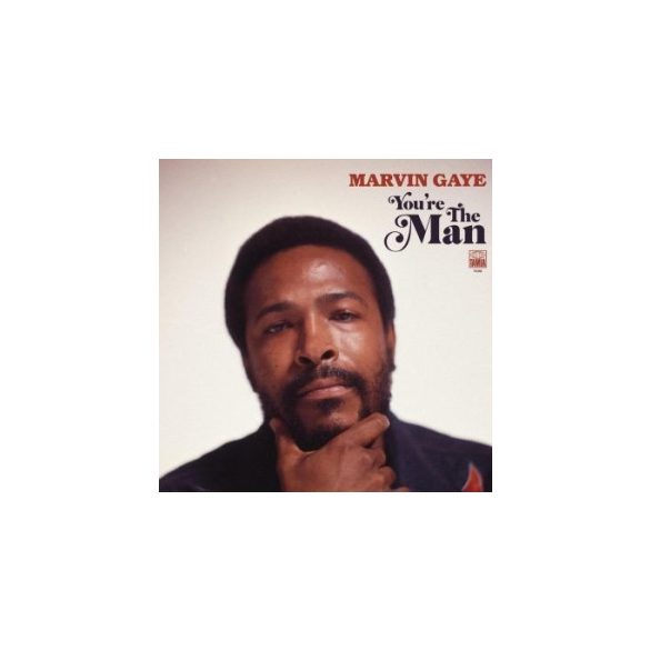 MARVIN GAYE - You're The Man / vinyl bakelit / 2xLP