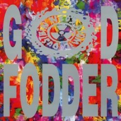 NED'S ATOMIC DUSTBIN - God Fodder / vinyl bakelit / LP