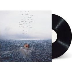 SHAWN MENDES - Wonder / vinyl bakelit / LP