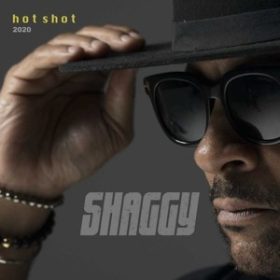 Shaggy