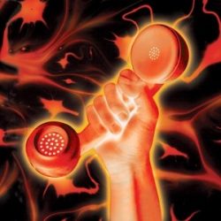 PETER GABRIEL - Secret World Live / vinyl bakelit / 2xLP