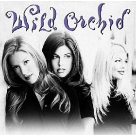 Wild Orchid