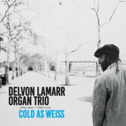 DELVON LAMARR ORGAN TRIO - Cold As Weiss CD