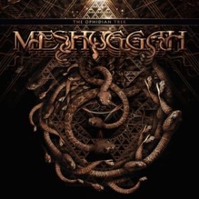 Meshuggah