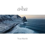 A-HA - True North / vinyl bakelit / 2xLP