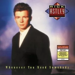   RICK ASTLEY - Whenever You Need Somebody / vinyl bakelit / LP