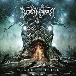   BORKNAGAR - Winter Thrice / limitált színes vinyl bakelit / 2xLP