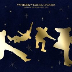   5 SECONDS OF SUMMER - Feeling Of Falling Upwards / vinyl bakelit / 2xLP