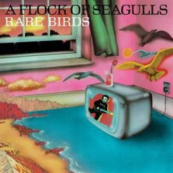   A FLOCK OF SEAGULLS - Rare Birds  B-Sides, Edits And Alternate Mixes RSD 2023 / vinyl bakelit / LP