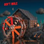   GOV'T MULE - Peace...Like A River / vinyl bakelit / 2xLP