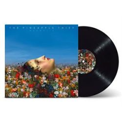 PINEAPPLE THIEF - Magnolia / vinyl bakelit / LP