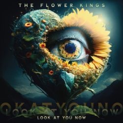 FLOWER KINGS - The Look At You Now / vinyl bakelit / 2xLP