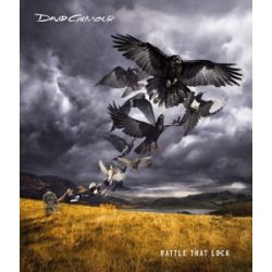 DAVID GILMOUR - Rattle That Lock / cd+dvd box / CD