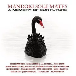   MANDOKI SOULMATES - A Memory Of Our Future / vinyl bakelit / 2xLP