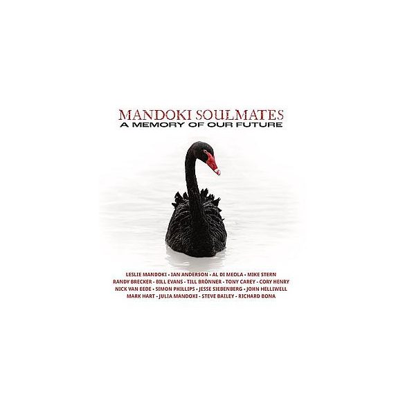 MANDOKI SOULMATES - A Memory Of Our Future / vinyl bakelit / 2xLP