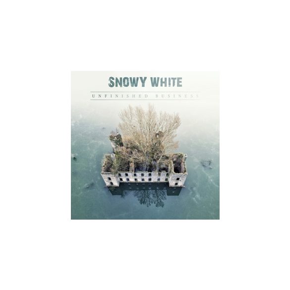 SNOWY WHITE - Unfinished Business / vinyl bakelit / LP