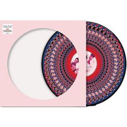   TAKE THAT - That Everything Changes / zoetrope picture disc vinyl bakelit / LP