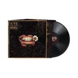 HOZIER - Unreal Unearth / vinyl bakelit / 3xLP