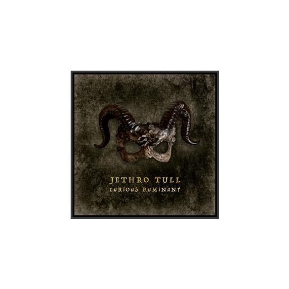 JETHRO TULL - Curious Ruminant / digipak / CD