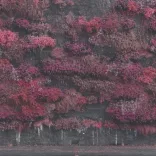 SLEEP TOKEN - Even In Arcadia / vinyl bakelit / 2xLP