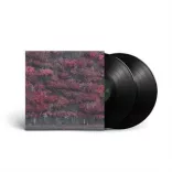 SLEEP TOKEN - Even In Arcadia / vinyl bakelit / 2xLP