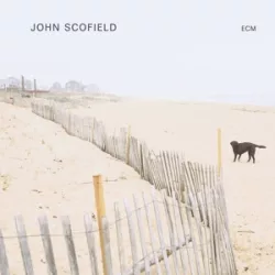 JOHN SCOFIELD - John Scofield / vinyl bakelit / LP