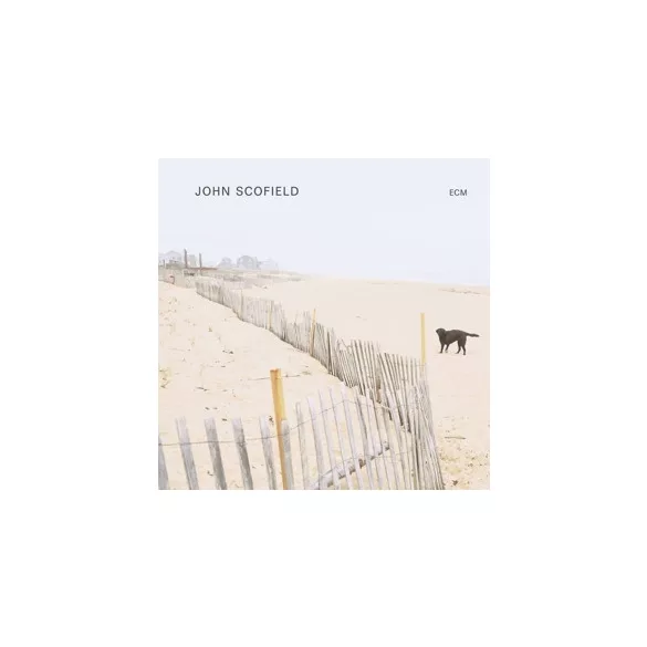JOHN SCOFIELD - John Scofield / vinyl bakelit / LP