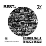 HAUBER ZSOLT X BONANZA BANZAI - Best of (LIVE) / vinyl bakelit / LP
