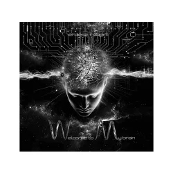   ERDÉSZ RÓBERT -  Welcome To My Brain / vinyl bakelit / 2xLP  