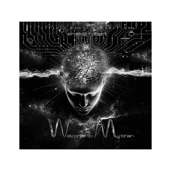 ERDÉSZ RÓBERT -  Welcome To My Brain / vinyl bakelit / 2xLP  