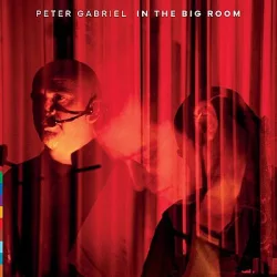 PETER GABRIEL - In The Big Room / 2cd / CD