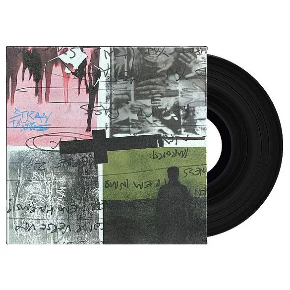 NOTHING BUT THIEVES - Stray Dogs / vinyl bakelit / LP